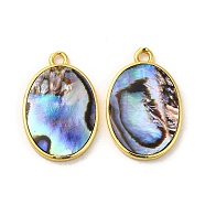 Natural Paua Shell Pendants, Oval Charms with Brass Findings, Golden, 23x15x2.5mm, Hole: 1.8mm(KK-E059-11G)