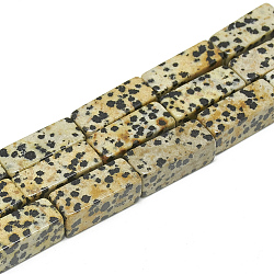 Natural Leopard Skin Jasper Beads Strands, Cuboid, 20~21x8~8.5x8~8.5mm, Hole: 1mm, about 19pcs/strand, 15.5 inches(G-S300-63-8x20mm)