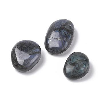 Natural Labradorite Beads, Healing Stones, for Energy Balancing Meditation Therapy, Tumbled Stone, No Hole/Undrilled, Nuggets, 51~92x47~61x15~28mm