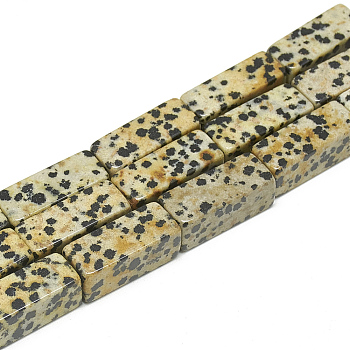Natural Leopard Skin Jasper Beads Strands, Cuboid, 20~21x8~8.5x8~8.5mm, Hole: 1mm, about 19pcs/strand, 15.5 inch