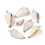 Electroplate Natural Shell Pendants, Conch Charms with Golden Tone Iron Loops, Seashell Color, 21.5~32x8.5~15x8~14mm, Hole: 1.4~1.8mm(SSHEL-N042-10)