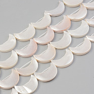Electroplate Natural Freshwater Shell Beads Strands, Moon, Seashell Color, 21x14~15.5x3mm, Hole: 1mm, about 19pcs/strand, 15.55 inch~15.75 inch(39.5cm~40cm)(SHEL-T017-15A)