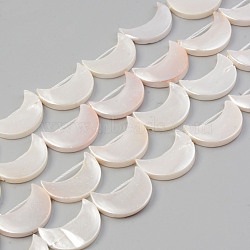 Electroplate Natural Freshwater Shell Beads Strands, Moon, Seashell Color, 21x14~15.5x3mm, Hole: 1mm, about 19pcs/strand, 15.55 inch~15.75 inch(39.5cm~40cm)(SHEL-T017-15A)
