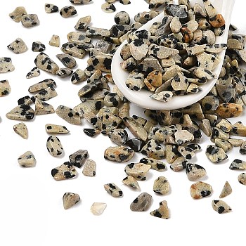 Pandahall Natural Dalmatian Jasper Chip Beads, No Hole/Undrilled, 3x5x1~3.5mm, 12500pcs/1000g