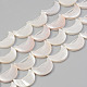 Electroplate Natural Freshwater Shell Beads Strands(SHEL-T017-15A)-1