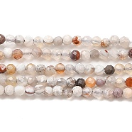 Natural Mexican Lace Agate Beads Strands, Round, Faceted, 2mm, Hole: 0.5mm, about 201pcs/strand, 15.55''(39.5cm)(G-E608-A11-A)