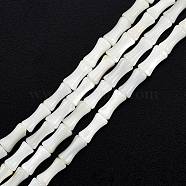 Natural Freshwater Shell Beads Strands, Undyed, Bamboo Stick Shape, White, 8x4.5mm, Hole: 0.8mm, about 46pcs/strand, 14.49 inch(36.8cm)(SHEL-G013-01B)