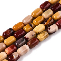 Natural Mookaite Beads Strands, Column, 9~9.5x6mm, Hole: 0.9~1mm, about 42~43pcs/strand, 15.24~15.8''(38.7~39.5cm)(G-G980-46A)