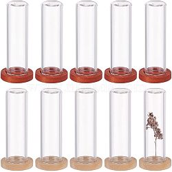 Nbeads 10Pcs 2 Colos Glass Dome Cover, Decorative Display Case, Cloche Bell Jar Terrarium with Wooden Base, Mixed Color, 40x12mm, 5pcs/color(BOTT-NB0001-18)