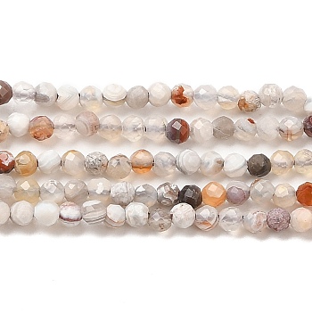 Natural Mexican Lace Agate Beads Strands, Round, Faceted, 2mm, Hole: 0.5mm, about 201pcs/strand, 15.55''(39.5cm)