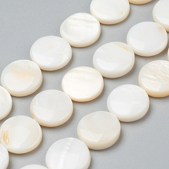 Natural Freshwater Shell Beads, Flat Round, 11.5~12x2.5~3mm, Hole: 0.5mm, about 33pcs/strand, 15.16 inch(38.5cm)
