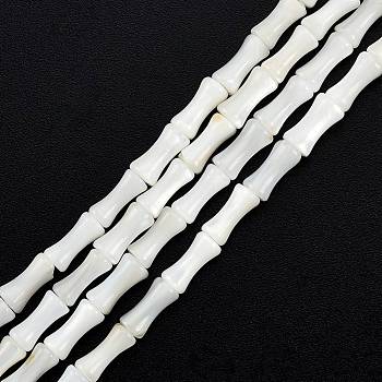 Natural Freshwater Shell Beads Strands, Undyed, Bamboo Stick Shape, White, 8x4.5mm, Hole: 0.8mm, about 46pcs/strand, 14.49 inch(36.8cm)