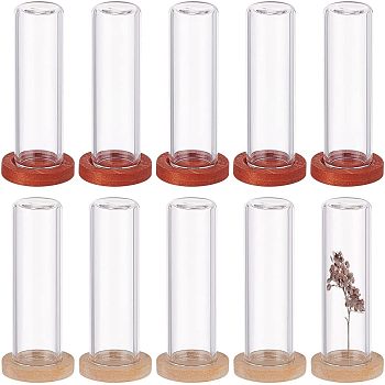 Nbeads 10Pcs 2 Colos Glass Dome Cover, Decorative Display Case, Cloche Bell Jar Terrarium with Wooden Base, Mixed Color, 40x12mm, 5pcs/color