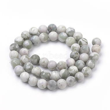 Natural Peace Jade Beads Strands(X-G-S259-25-8mm)-2