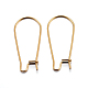 304 Stainless Steel Hoop Earrings(X-STAS-P223-01G-01)-1