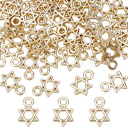 60Pcs Alloy Charms, for Jewish, Star of David, Light Gold, 12x8x1.5mm, Hole: 2mm(FIND-SC0009-21)