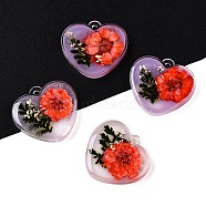 Epoxy Resin Pendants, with Dried Flower Inside, Heart, 23x25x4~5mm, Hole: 1.8mm(RESI-T058-02G)