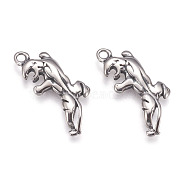 304 Stainless Steel Pendants, Animal, Antique Silver, 24x10x2.5mm, Hole: 1.5mm(STAS-P225-096AS)