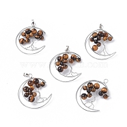 Natural Tiger Eye Big Pendants, with Platinum Tone Brass Findings, Moon with Tree, 50~53x41~43x8~10mm, Hole: 7x5mm(G-L521-E06)