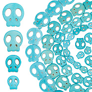 4 Strands 4 Styles Dyed Synthetic Turquoise Beads Strands Sets, Skull, Medium Turquoise, 14.5~32.5x13~30x3.5~4mm, Hole: 1.4~1.6mm, about 12~27pcs/strand, 15.24~16.14 inch(38.7~41cm), 1 Strand/style(G-AR0005-41B)