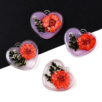 Epoxy Resin Pendants, with Dried Flower Inside, Heart, 23x25x4~5mm, Hole: 1.8mm