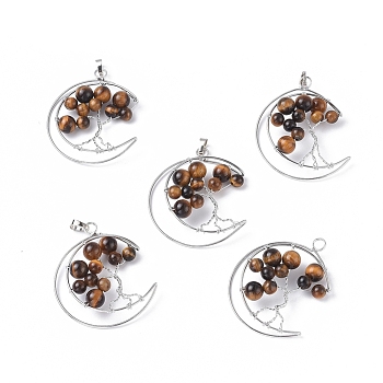 Natural Tiger Eye Big Pendants, with Platinum Tone Brass Findings, Moon with Tree, 50~53x41~43x8~10mm, Hole: 7x5mm