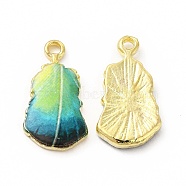 Rack Plating Alloy Pendants, Printed, Lead Free & Cadmium Free & Nickel Free, Leaf Charm, Light Gold, Pale Green, 19x10.5x2.5mm, Hole: 1.6mm(FIND-H043-04LG-01)