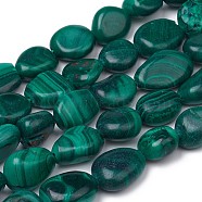 Natural Malachite Beads Strands, Nuggets, Tumbled Stone, 8~12x7~10x5.5~8mm, Hole: 0.5mm, about 43pcs/strand, 15.55 inch(39.5cm)(G-L493-42A)