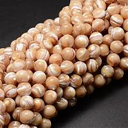 Natural Sea Shell Beads Strands, Round, Light Salmon, 10mm, Hole: 1mm, about 40pcs/strand, 15.75 inch(SSHEL-K013-10mm-B)