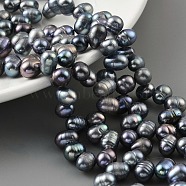 Dyed Natural Cultured Freshwater Pearl Beads Strands, Top Drilled, Rice, Black, 6~7mm, Hole: 0.6mm, about 35pcs/strand, 7.09 inch(18cm)(PEAR-A006-28A)