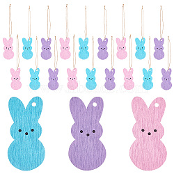 Olycraft 3 Bags 3 Colors Easter Theme Wooden Pendant Decorations, Hemp Rope Hanging Ornaments, Rabbit, Mixed Color, 88x40x3mm, Hole: 4.5mm, 1 bag/color(HJEW-OC0001-32)
