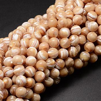 Natural Sea Shell Beads Strands, Round, Light Salmon, 10mm, Hole: 1mm, about 40pcs/strand, 15.75 inch