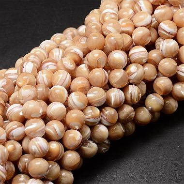 10mm LightSalmon Round Other Sea Shell Beads