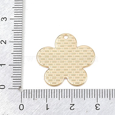 Legierungsanh&auml;nger(FIND-B062-03G-03)-3