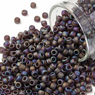 TOHO Round Seed Beads, Japanese Seed Beads, (166CF) Transparent AB Frost Amethyst, 8/0, 3mm, Hole: 1mm, about 222pcs/bottle, 10g/bottle(SEED-JPTR08-0166CF)