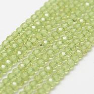 Natural Peridot Bead Strands, Faceted, Round, 3mm, Hole: 0.5mm, about 120~124pcs/strand, 12.8 inch(325mm)(X-G-P271-3mm-12)