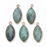 Natural Amazonite Pendants, with Golden Plated Edge Brass Findings, Faceted, Horse Eye, 20x9x5mm, Hole: 1.2mm(G-T131-07D)