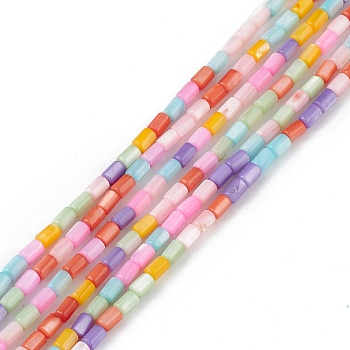 Natural Freshwater Shell Dyed Beads Strands, Column, Colorful, 4.8x3mm, Hole: 0.8mm, about 78pcs/strand, 14.96 inch(38cm)