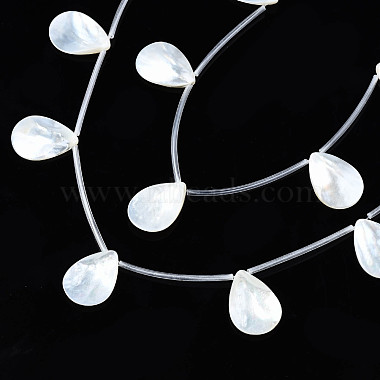 Eau douce naturelle de coquillage perles brins(SHEL-N026-153B-01)-3