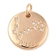 Brass with Clear Cubic Zirconia Pendants(KK-N256-24L-G)-1