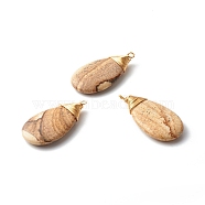 Natural Picture Jasper Pendants, with Real 18K Gold Plated Eco-Friendly Copper Findings, Teardrop, 37.5x16x9mm, Hole: 2.5mm(PALLOY-JF00777)