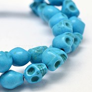 Dyed Synthetic Turquoise Bead Strands, Skull, Deep Sky Blue, 10x8x10mm, Hole: 1mm, about 38~40pcs/strand, 15~15.5 inch(G-M145-15-B)