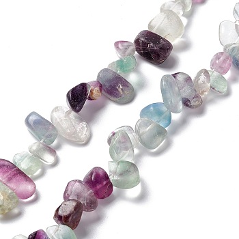 20Pcs Natural Fluorite Beads, Tumbled Stone, Nuggets, 12~16x8~13x6~8mm, Hole: 1mm