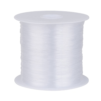 1 Roll Clear Nylon Wire, Fishing Line, Beading Thread, 0.4mm, about 43.74 yards(40m)/roll