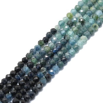 Natural Gradient Blue Tourmaline Beads Strands, Faceted, Round, 2mm, Hole: 0.5mm, about 215pcs/strand, 15.16''~15.55''(38.5~39.5cm)