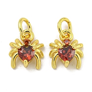 Rack Plating Brass Micro Pave Cubic Zirconia Spider Charms, Long-Lasting Plated, Cadmium Free & Lead Free, Real 18K Gold Plated, Red, 9x8x4mm, Hole: 3.5mm(ZIRC-I065-02C)