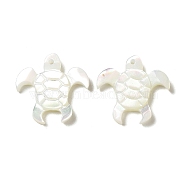Natural White Shell Pendants, Sea Turtle Charms, WhiteSmoke, 15x15.5x2mm, Hole: 1mm(SSHEL-M022-05)