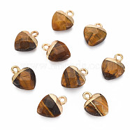 Natural Tiger Eye Charms, with Light Gold Plated Iron Findings, Heart, 13.5x10.5x5~5.5mm, Hole: 1.6~1.8mm(G-N326-121-04)