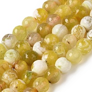 Dyed & Heated Natural Fire Crackle Agate Beads Strands, Faceted, Round, Light Khaki, 8mm, Hole: 1.2mm, about 49pcs/strand, 14.84''(37.7cm)(G-P539-B01-06)