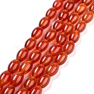 Gemstone Beads Strands, Natural Carnelian, Oval, Red, about 12mm wide, 8mm in diameter, hole: 1.2~1.5mm, about 32pcs/strand, 14.5 inch(X-G080)